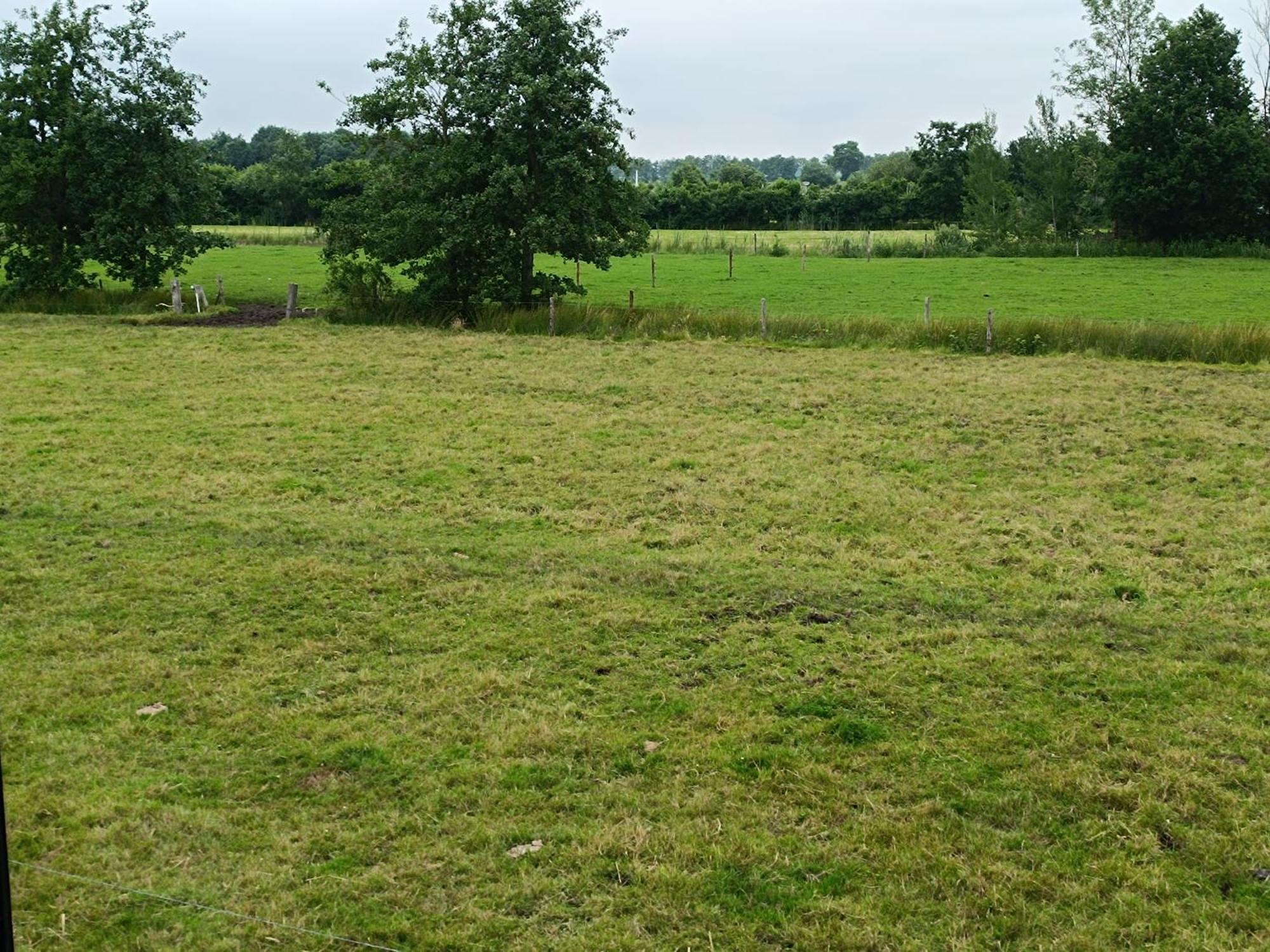 De Perenhoeve * Ruinerwold